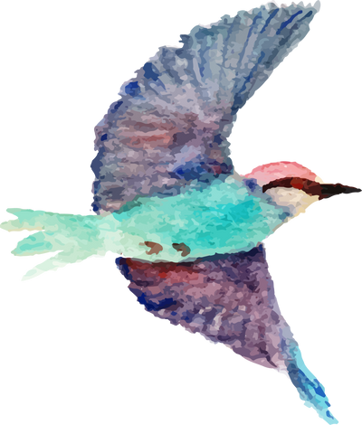 Bird in Watercolor Style